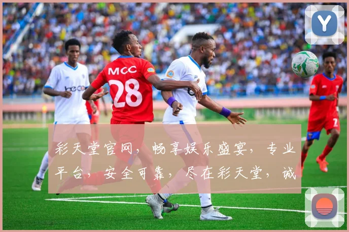 彩天堂官网，畅享娱乐盛宴，专业平台，安全可靠，尽在彩天堂，诚邀体验