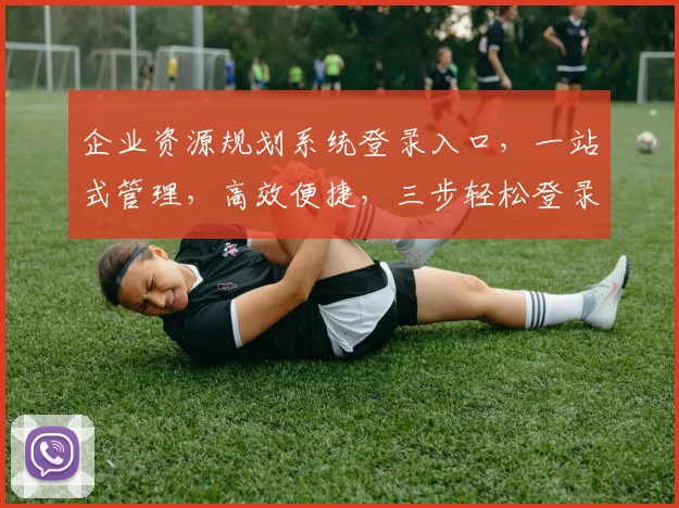 企业资源规划系统登录入口，一站式管理，高效便捷，三步轻松登录，体验智慧办公