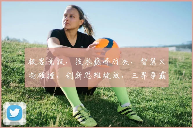 极客竞技，技术巅峰对决，智慧火花碰撞，创新思维绽放，三界争霸，谁主沉浮
